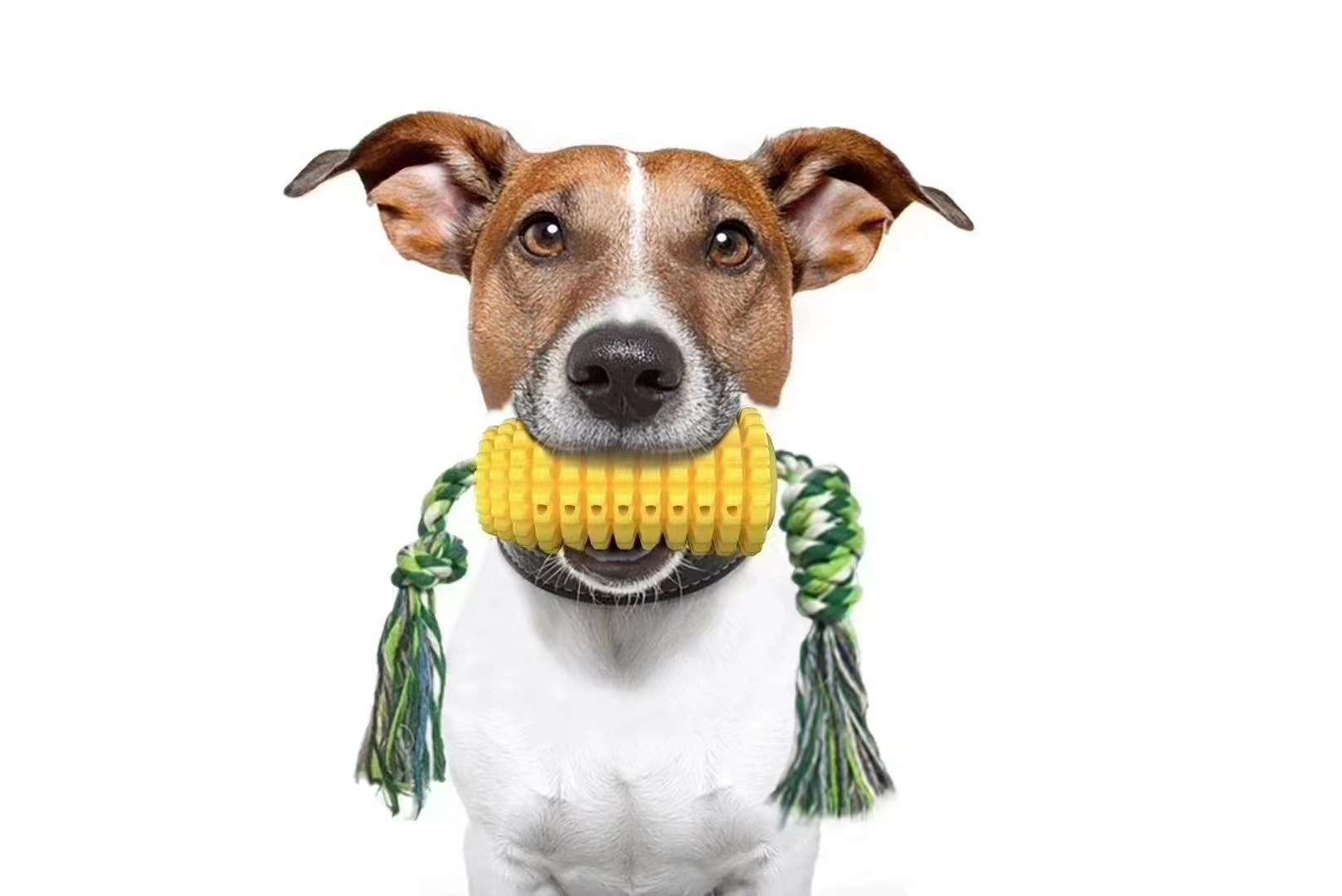 Spot sale!! Dog toothbrush/molar toy, brand new tooth cleaning design, multiple utility model patent protection + appearance patent protection, can be equipped with molar rope, more toothpaste/food attractant channel Application Scenario