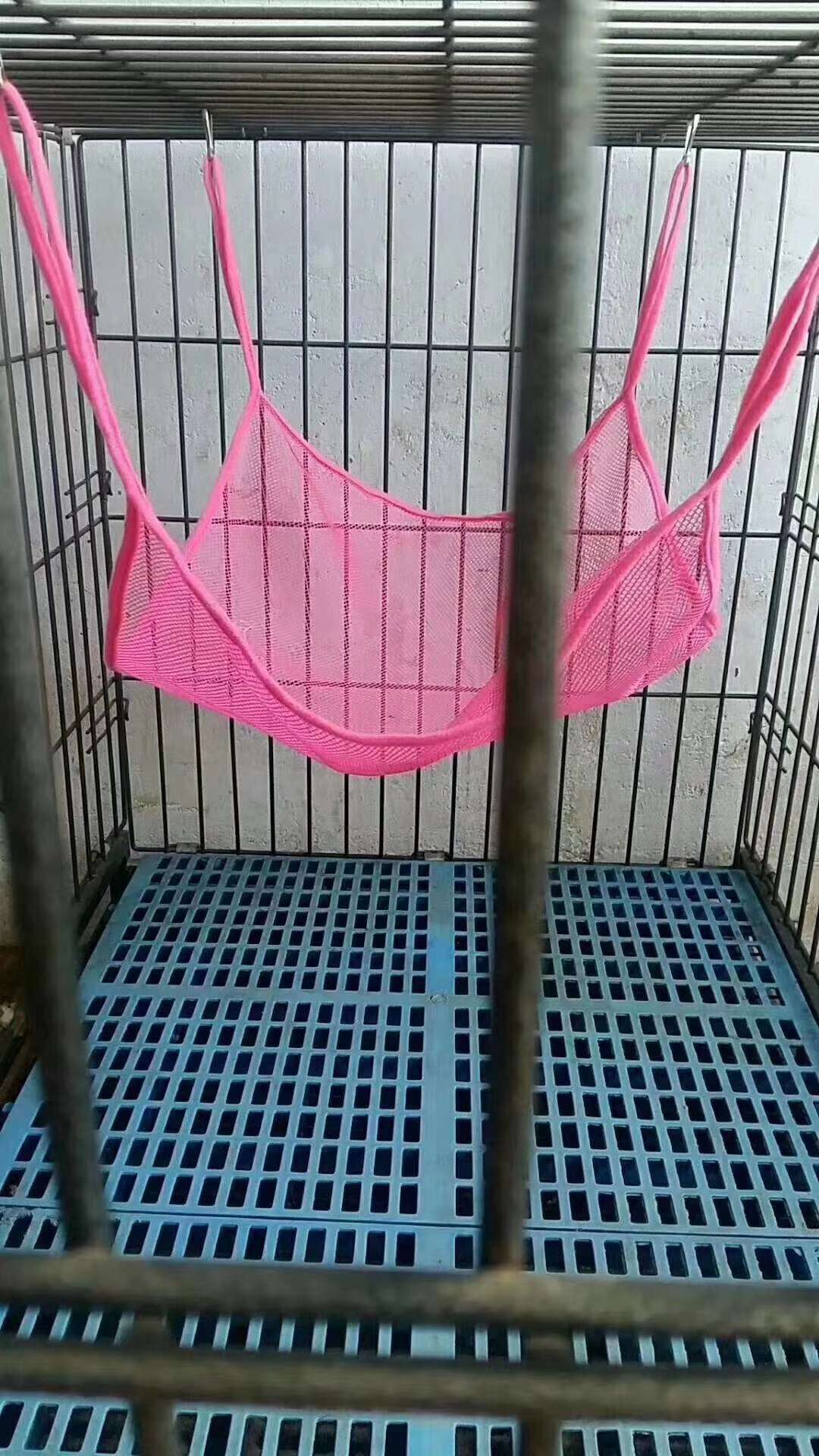 All kinds of cat hammock series, price advantage, cute cats enjoy themselves on it! undefined