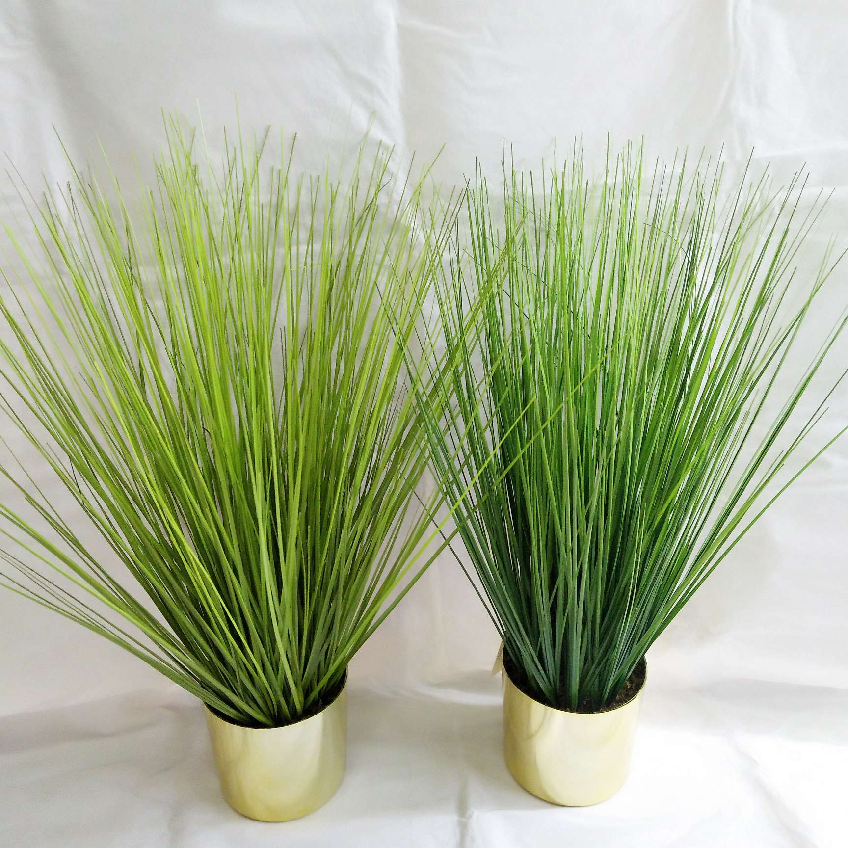 The simulation of grass G88 thumbnail