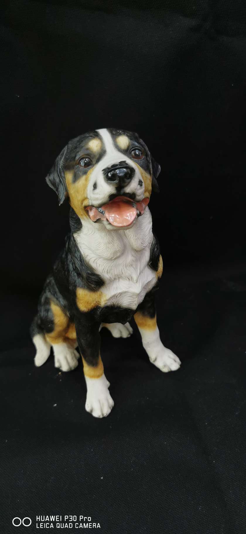 Resin crafts for dogs thumbnail