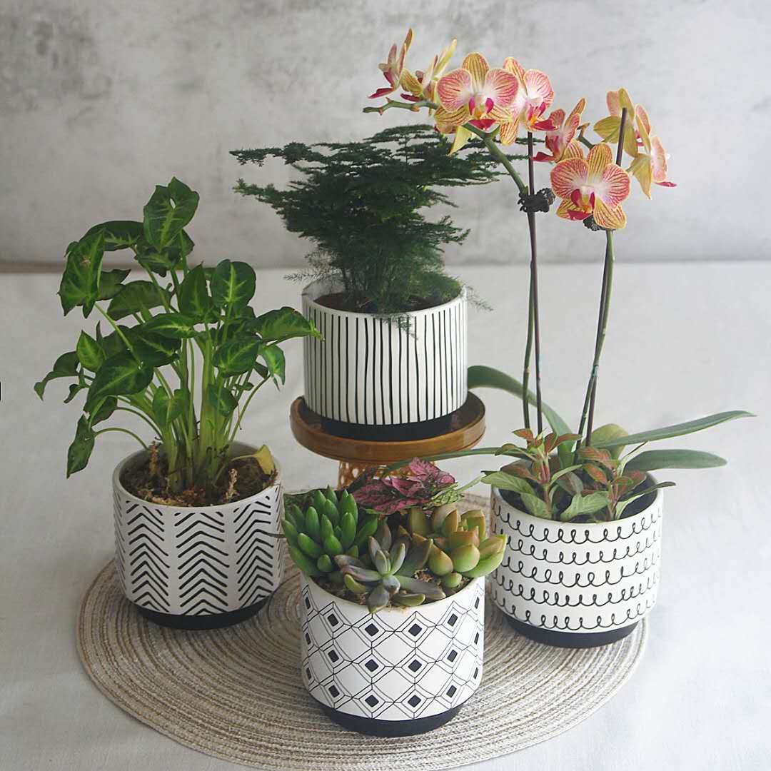 Ceramic flowerpot European can leak water culture green plant