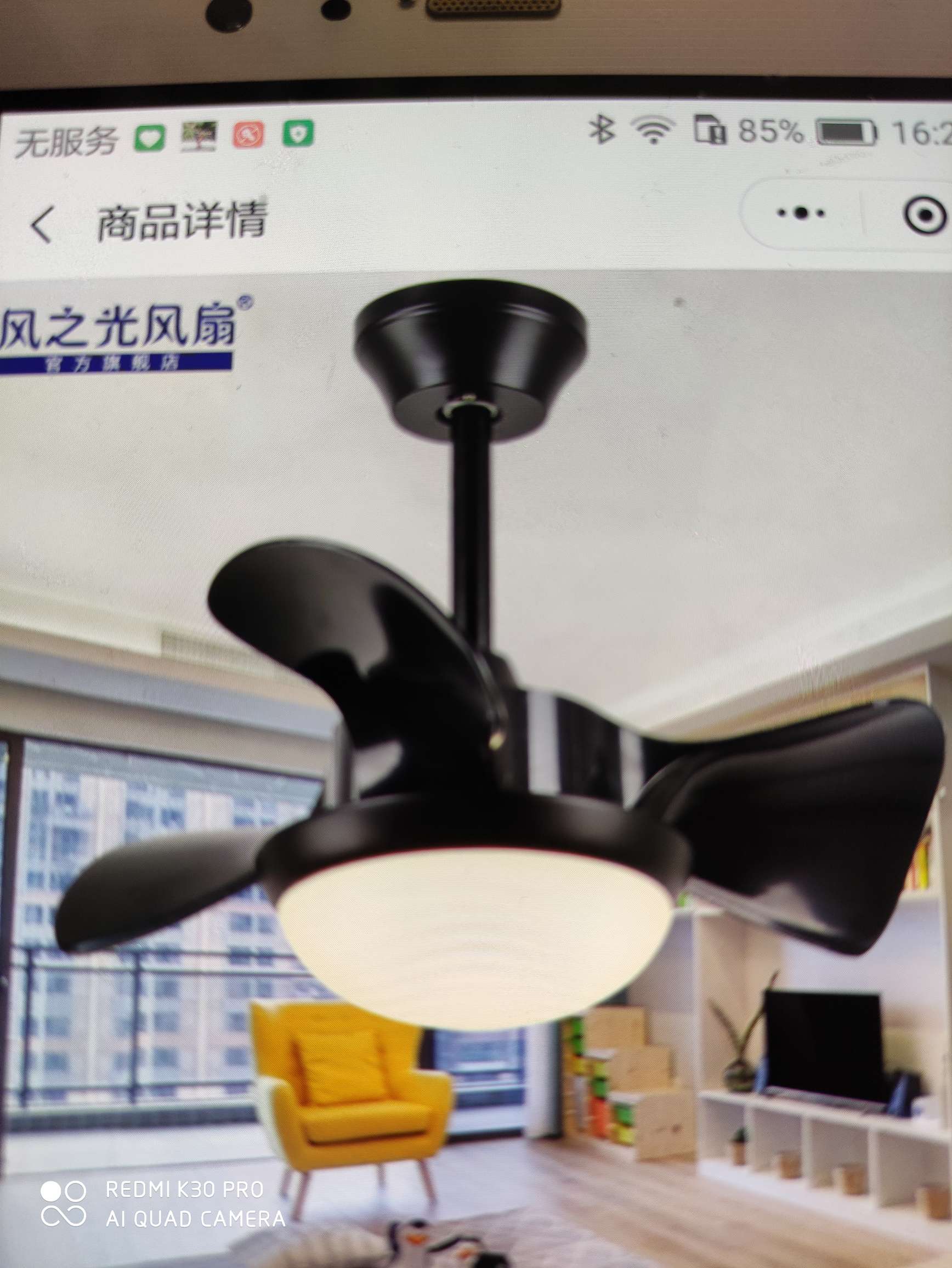 风扇灯实物图