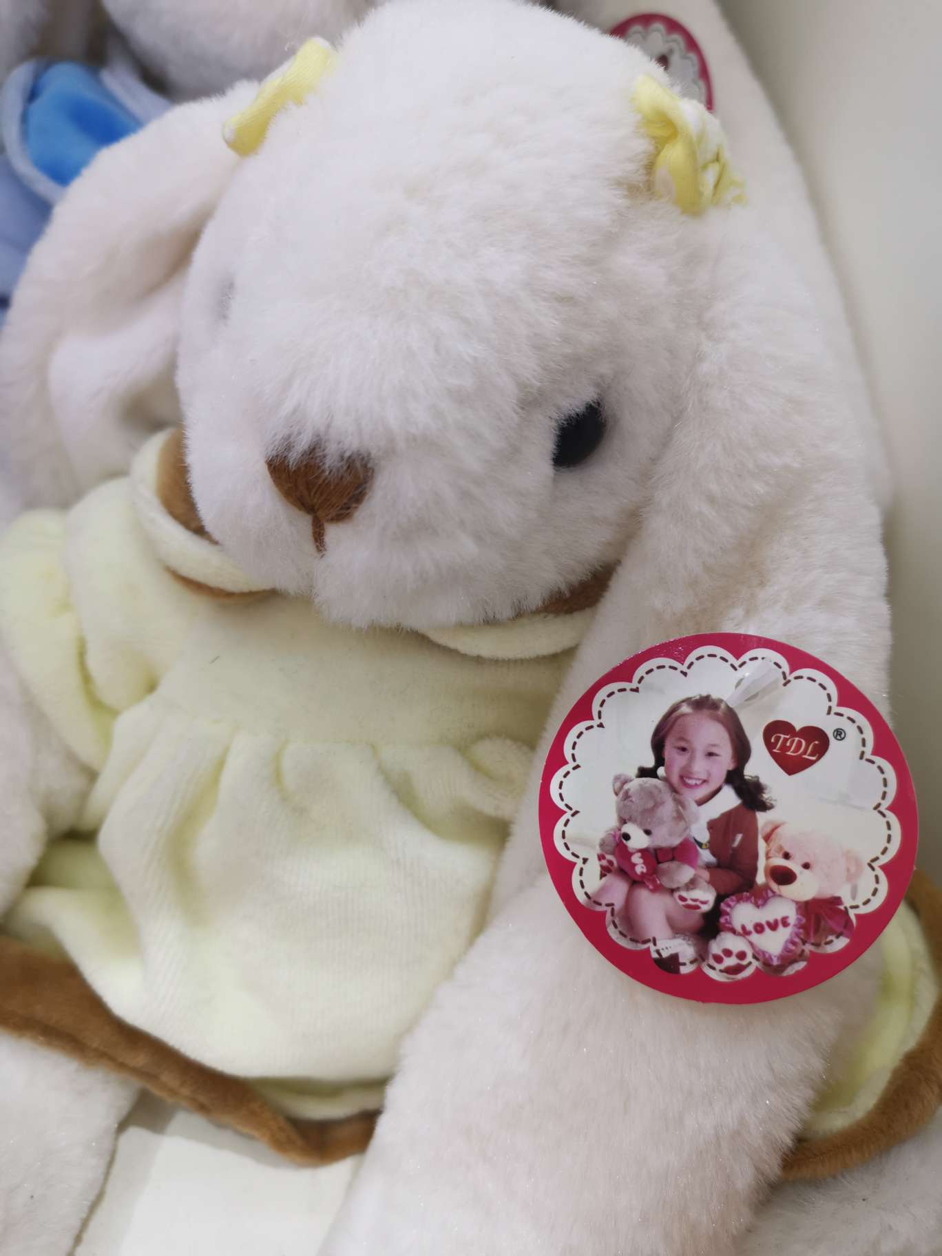 Play with rabbits