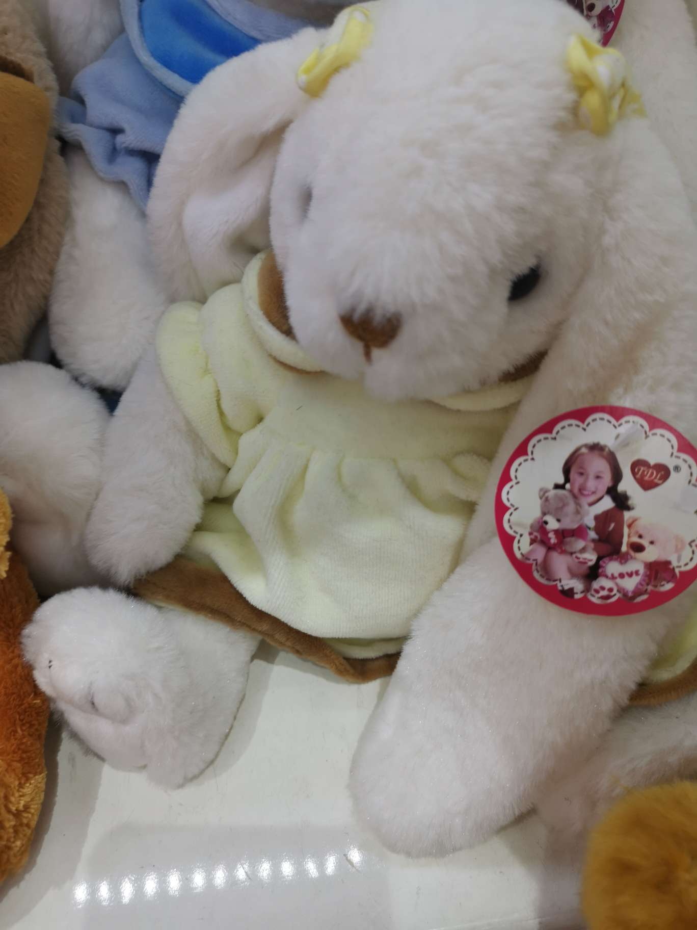 Play with rabbits details Picture