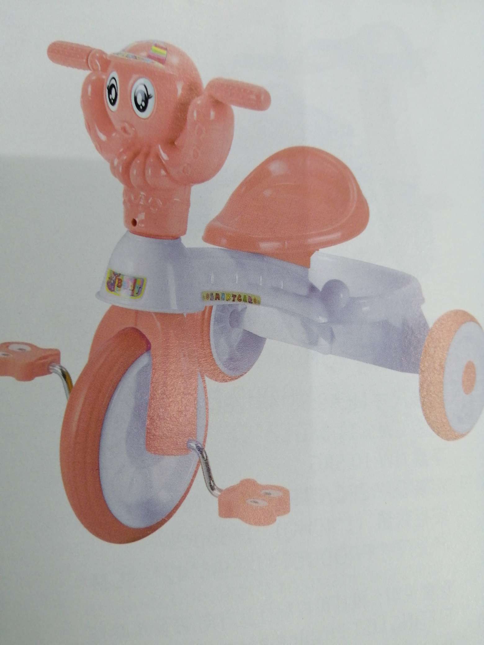 2101 details Picture