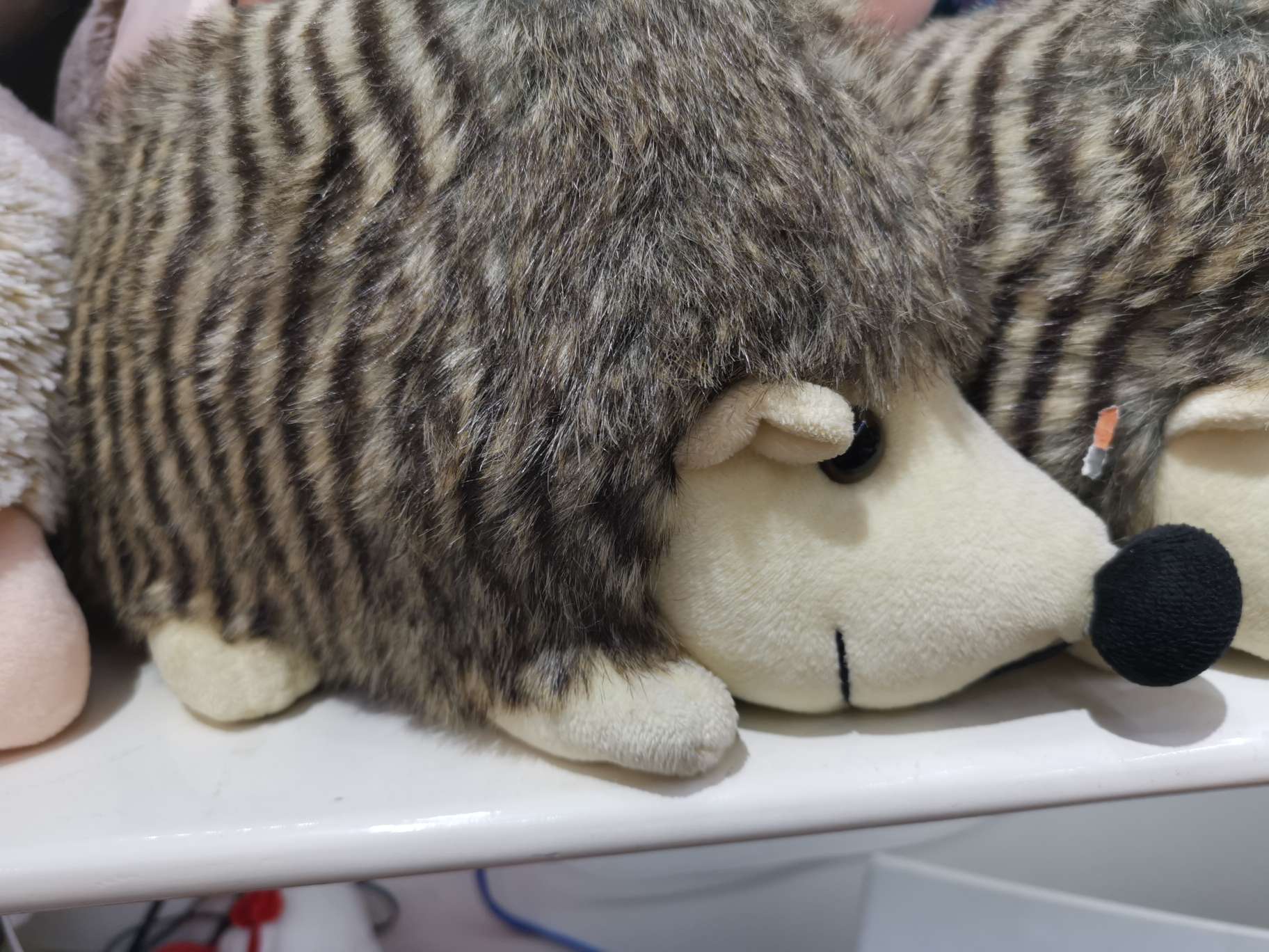 34 Hedgehog