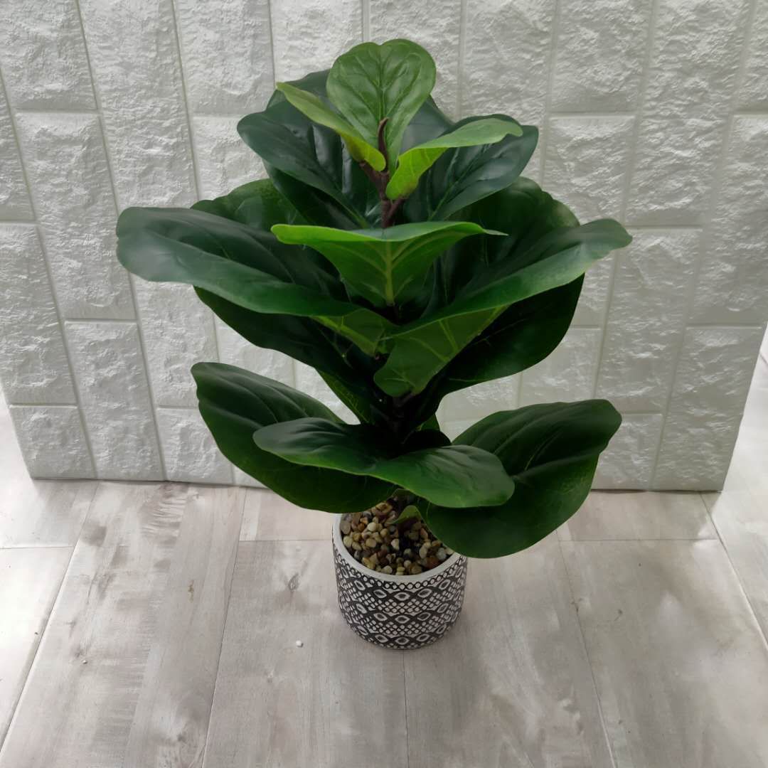 Small banyan leaf thumbnail