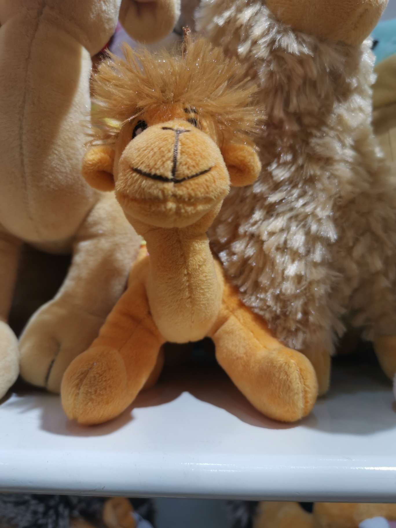 Toy little camel