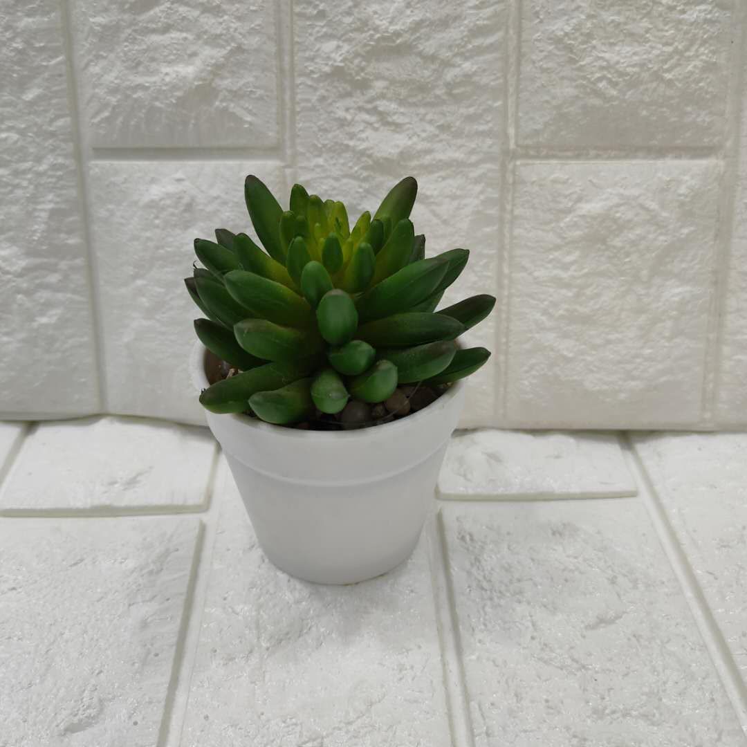 Simulated white pot small meaty thumbnail