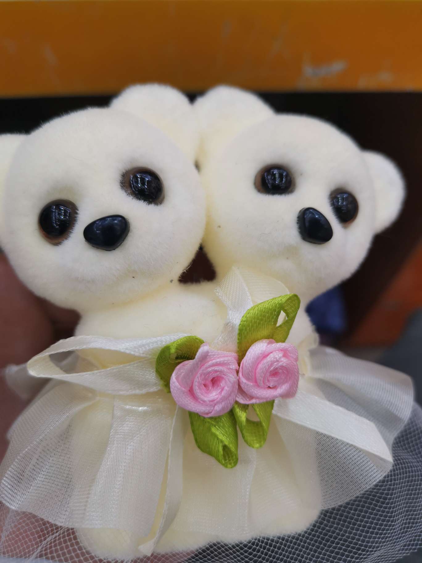 Conjoined bear