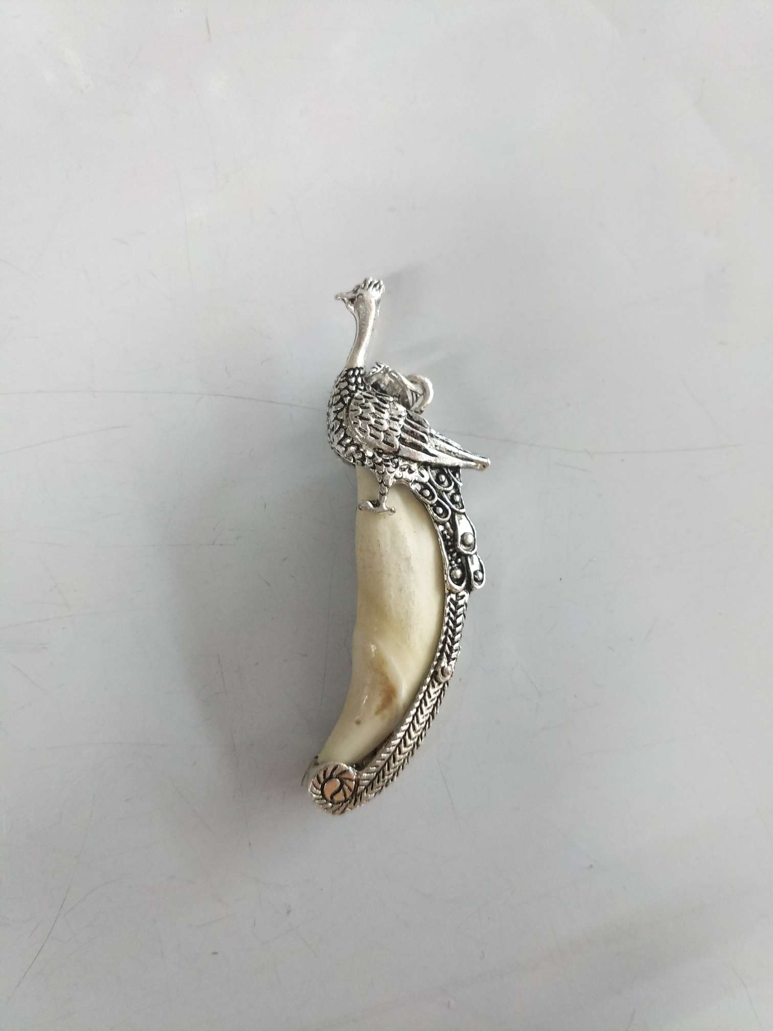 Peacock silver dog toothache pendant necklace set with real black dog tooth ornaments thumbnail