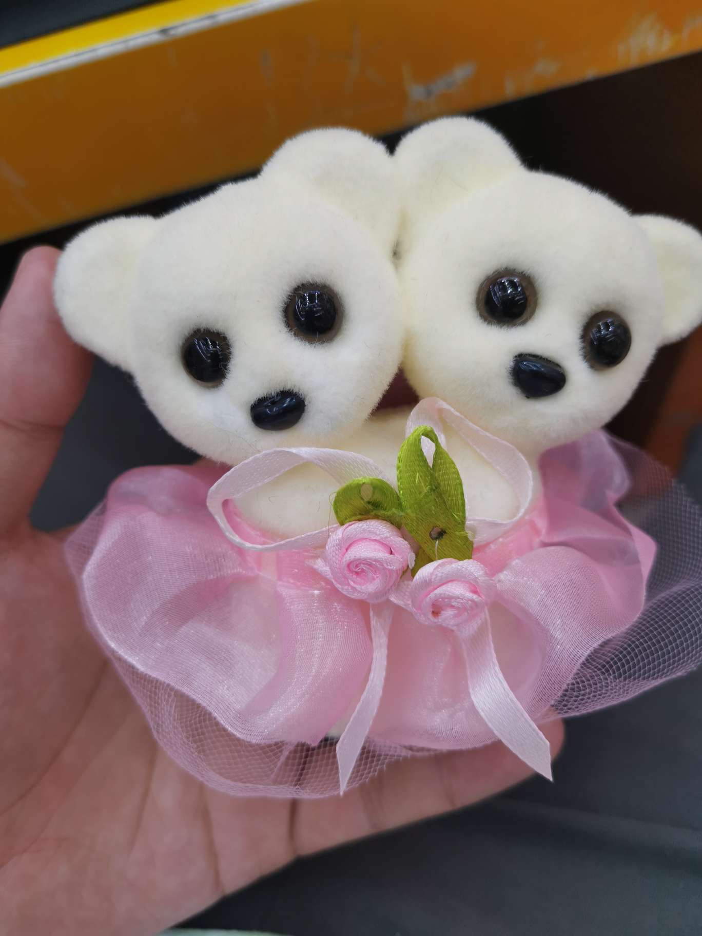 Two-headed bear details Picture
