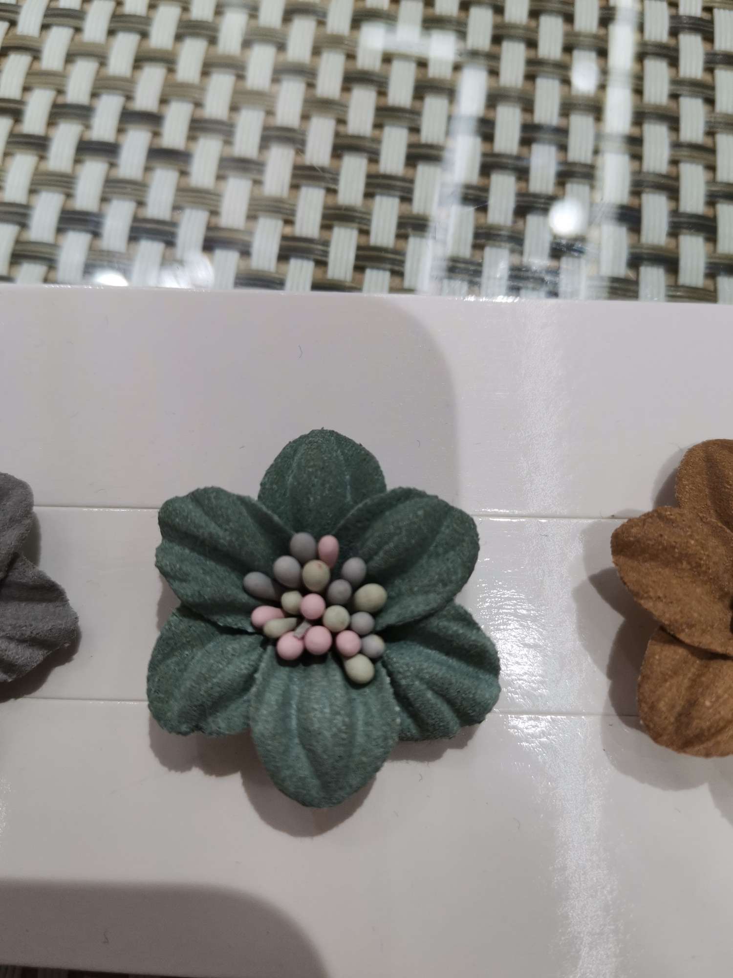 025 # floret thumbnail
