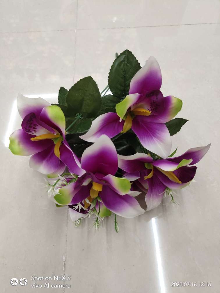 Simulate seven Phalaenopsis orchids