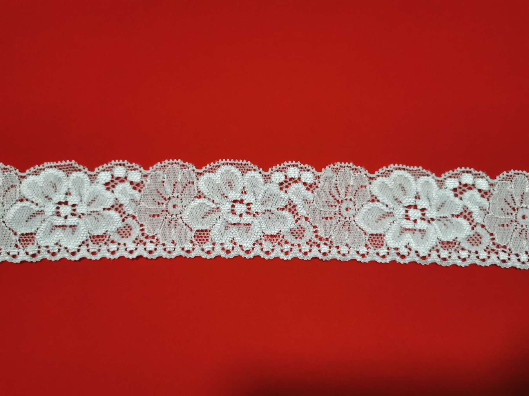 Lace elastic edge C4044#
