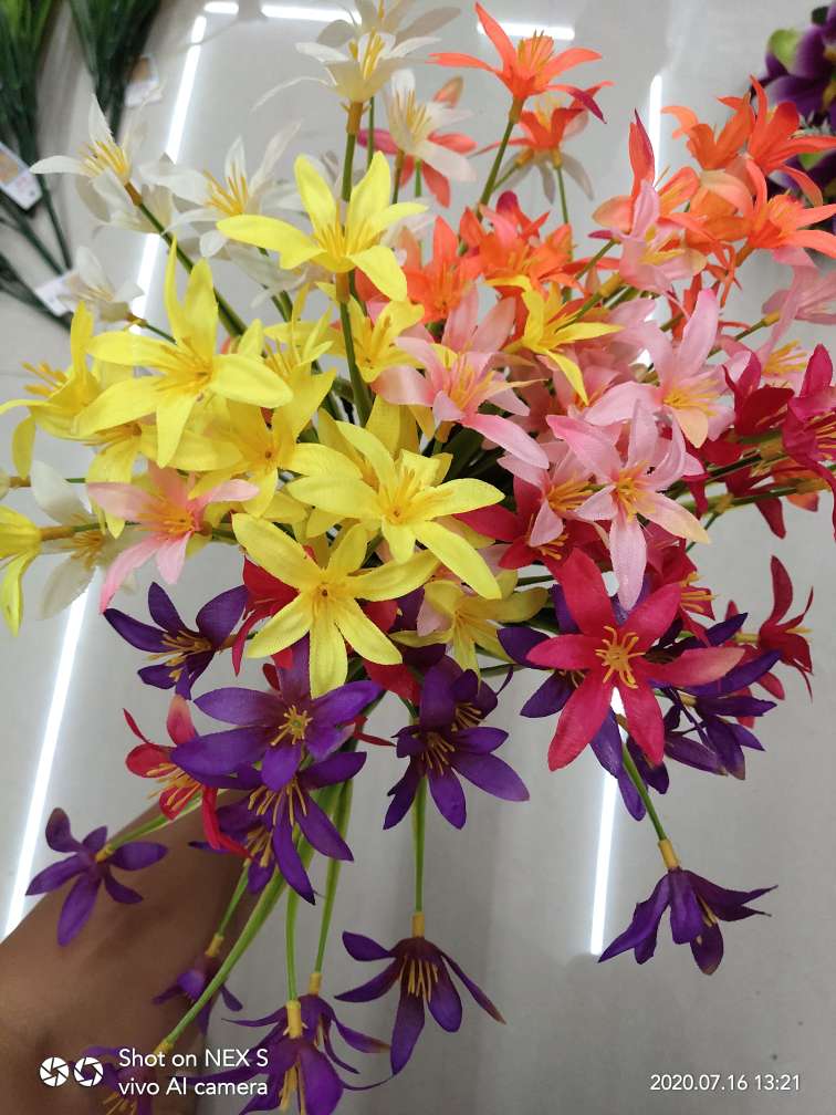 HY201995 Aquatic Plants and Small Flowers Application Scenario