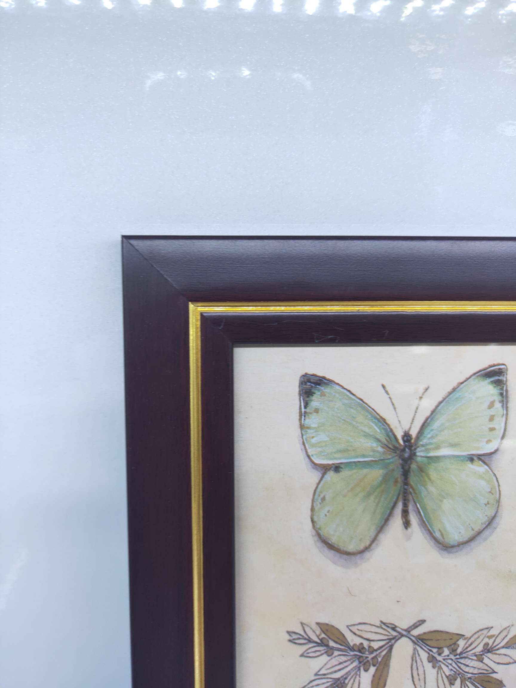 金典红木金银相框产品图