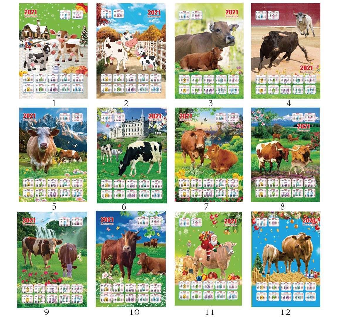 2021 Year of the Ox calendar, monthly calendar, calendar pendant, decorative painting
