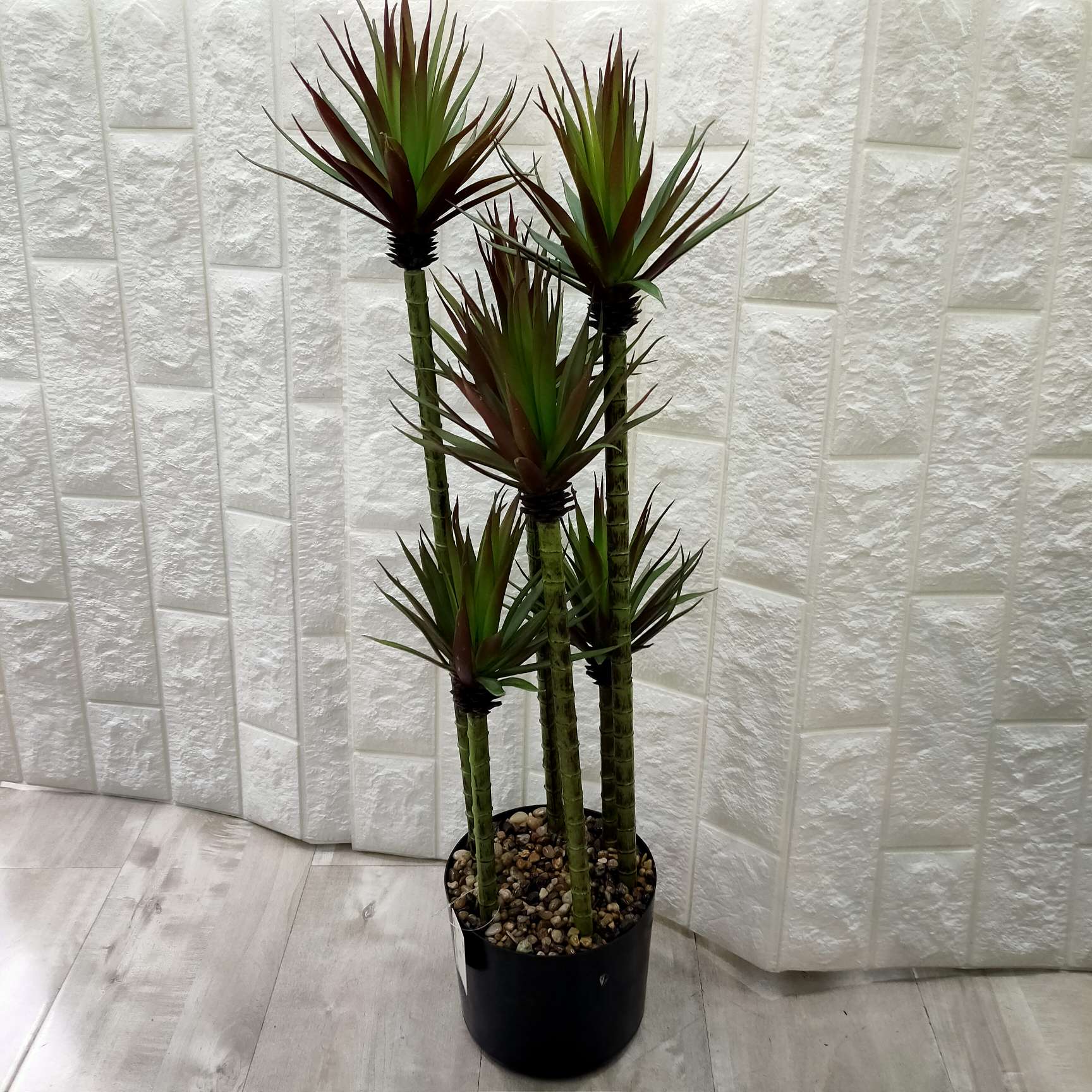 Big pot gladiolus 6 head