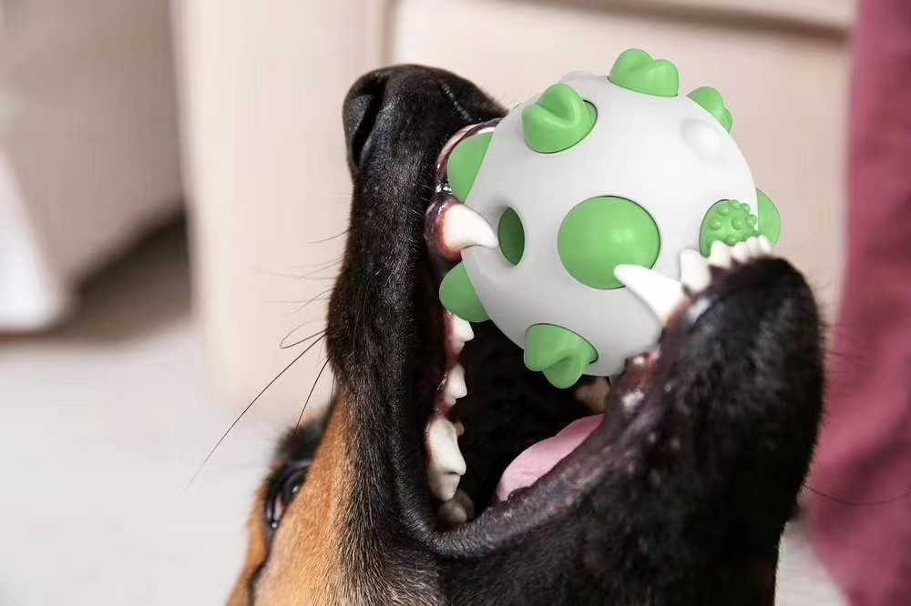 【爆款产品现货发售！！】【球形狗牙刷】，原创设计，咬不烂摔不坏！有效洁齿磨牙！超酷外形，更有多个产品近期搭配陆续上线发布详情图9