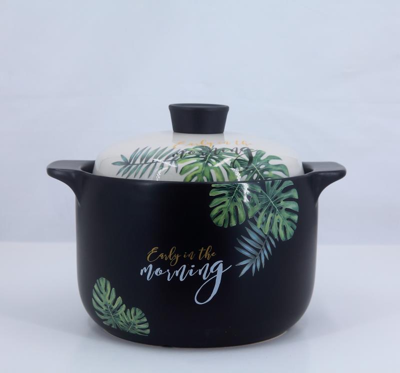 Morning Health Cooker 6L (Green Leaf lid)