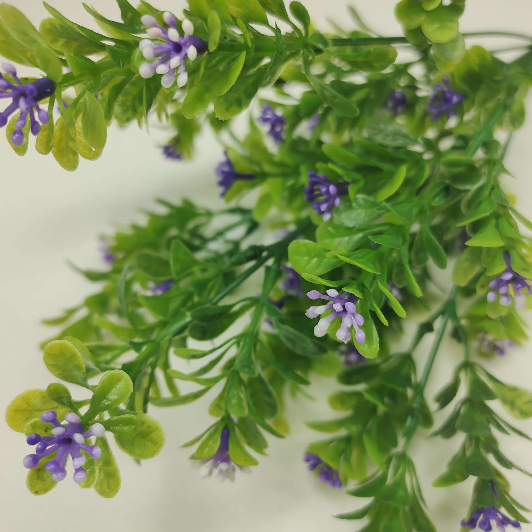 7杈米兰草32cm 塑料水草满天星仿真花背景墙工艺品人造花7杈35草35蕾仿真花绢花假花批发 价格 库存 义乌小商品城