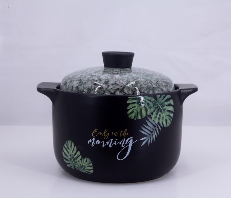 Morning 4.5L Health Cooker (Marble lid)