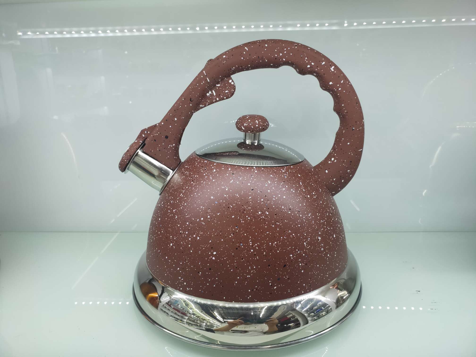 The stainless steel kettle has a spray-painted body and is suitable for both induction cookers and gas Application Scenario