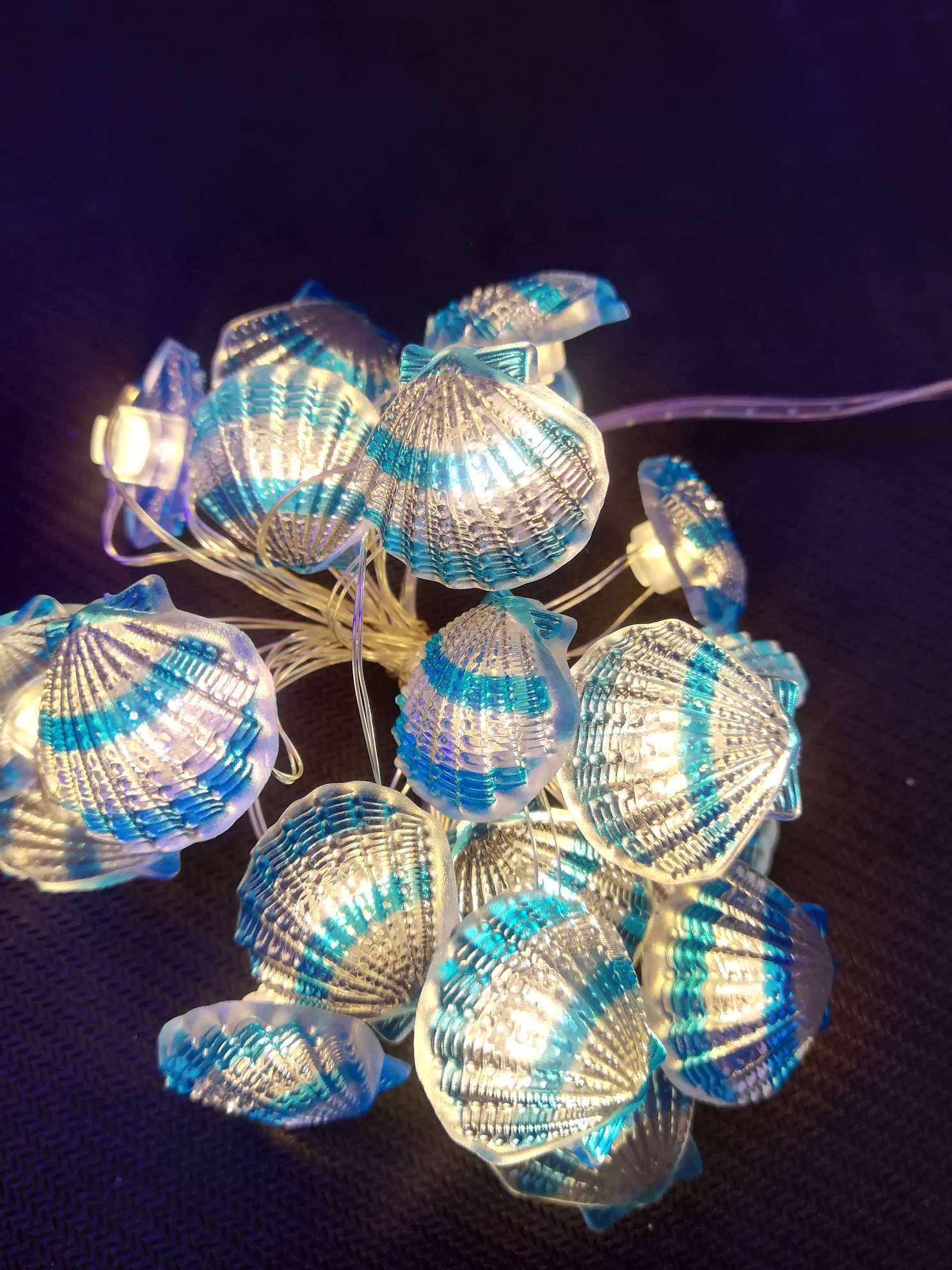 鼎信工艺鼎信工艺20L贝壳图