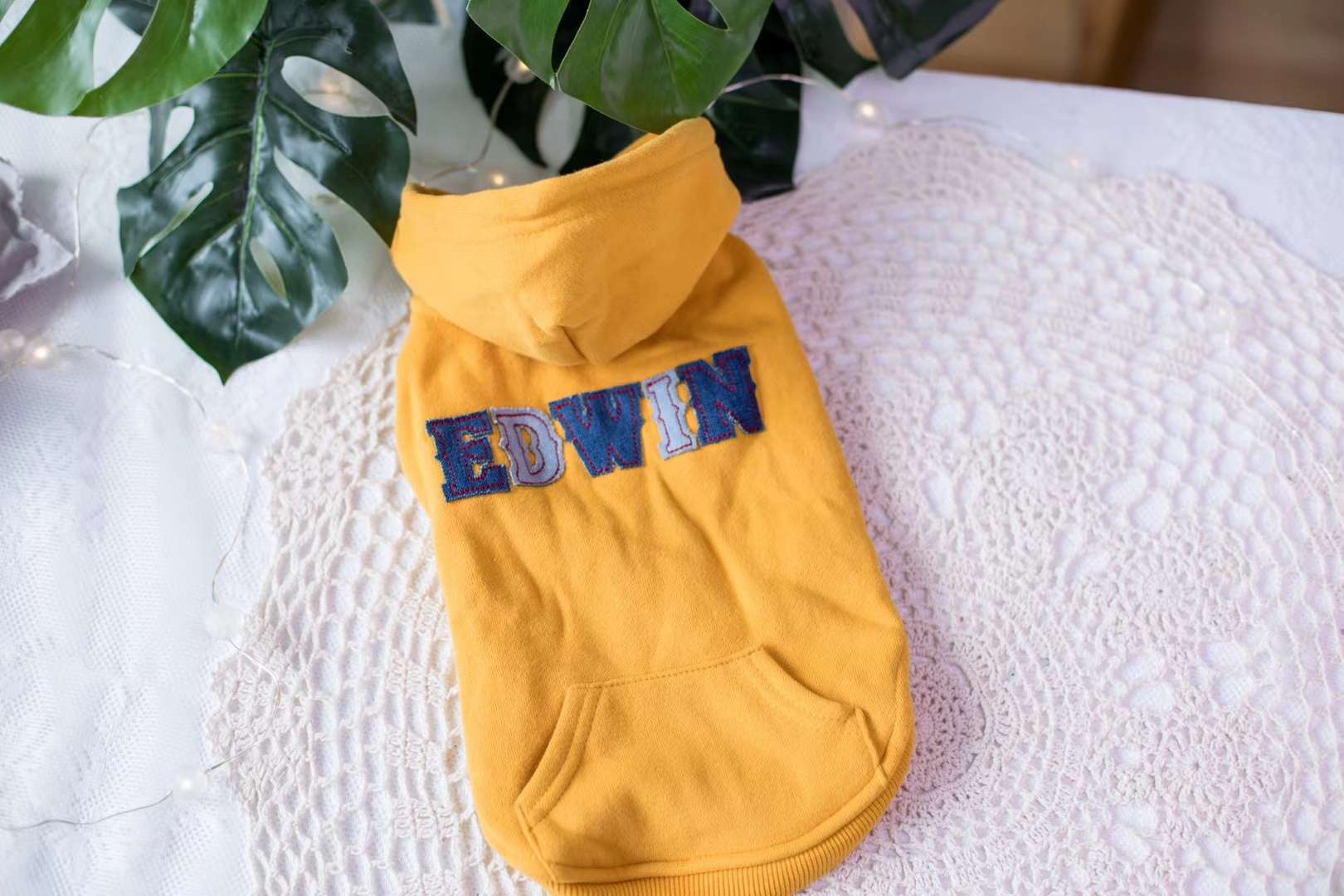 戴帽款秋冬服/宠物用品衣服/宠物新款美衣细节图