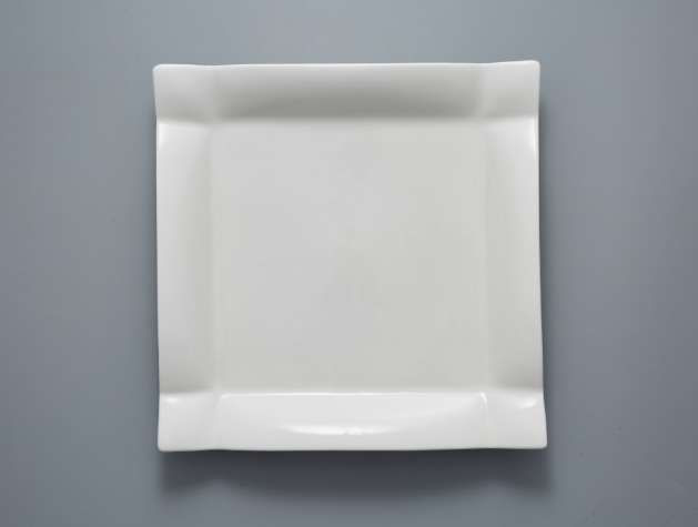 Square Well Plate 12 Inches details Picture