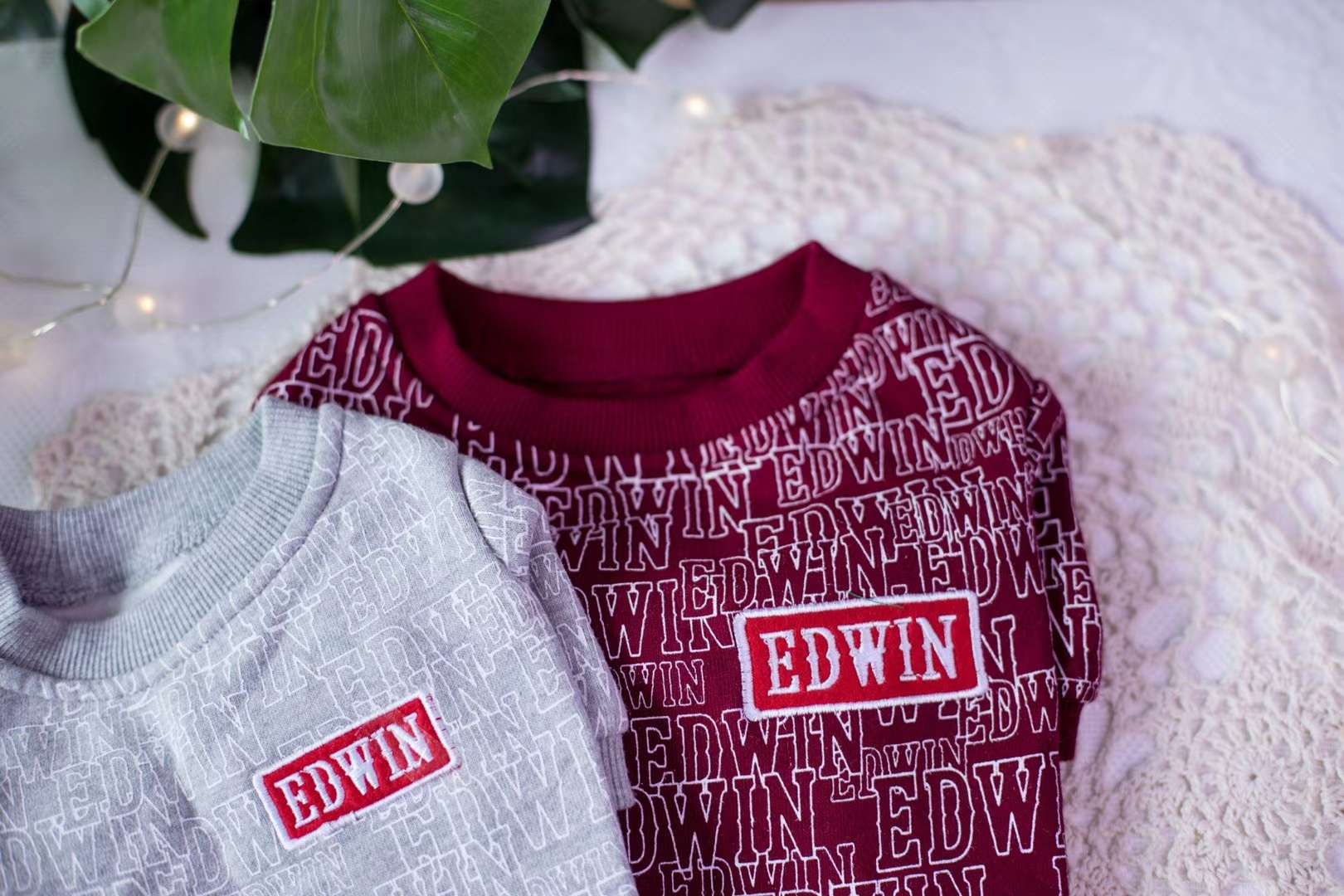 戴帽款秋冬服/宠物用品衣服/宠物新款美衣产品图