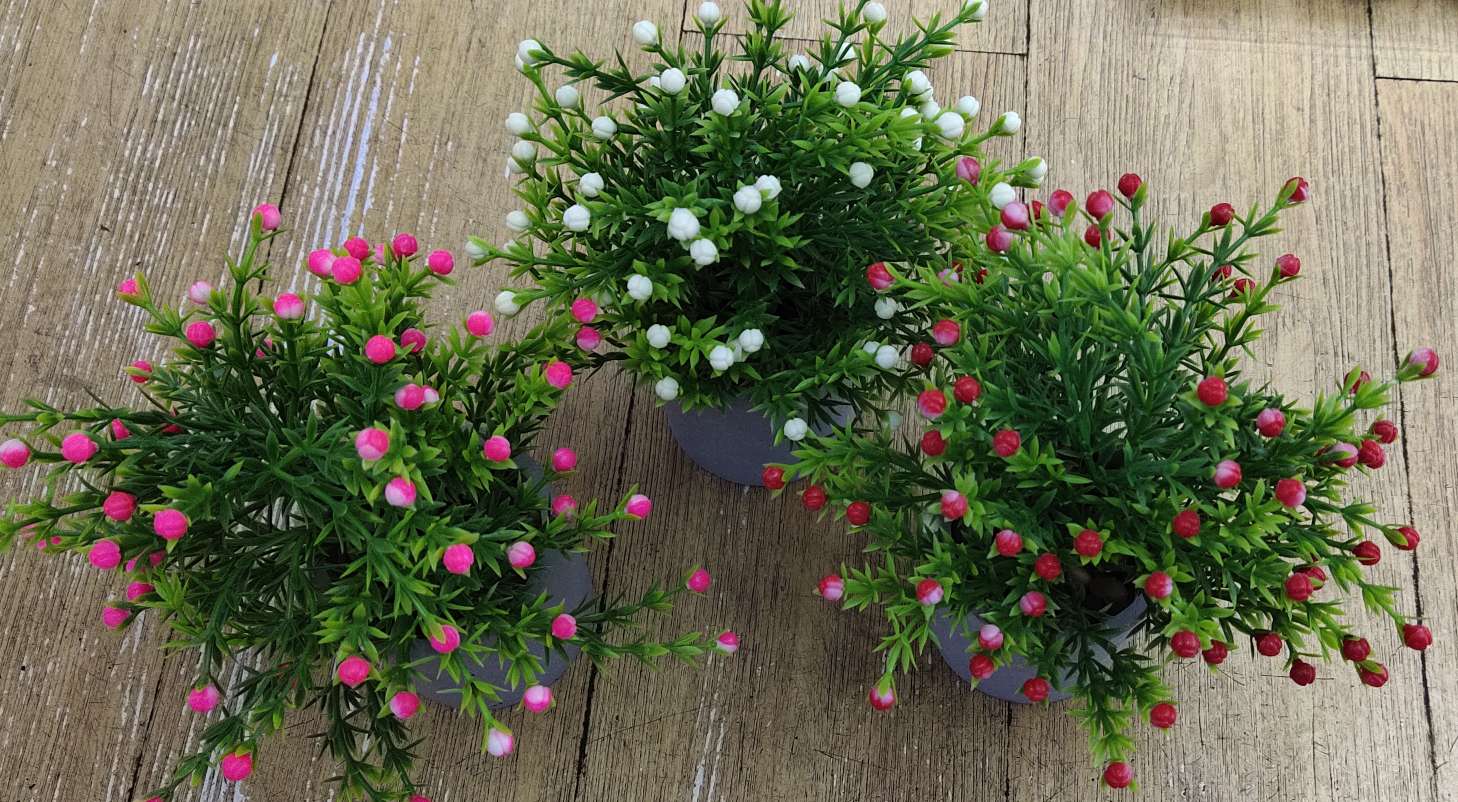 微景观 工艺植物工艺品 手工编织 绿植装饰品 室内装饰品