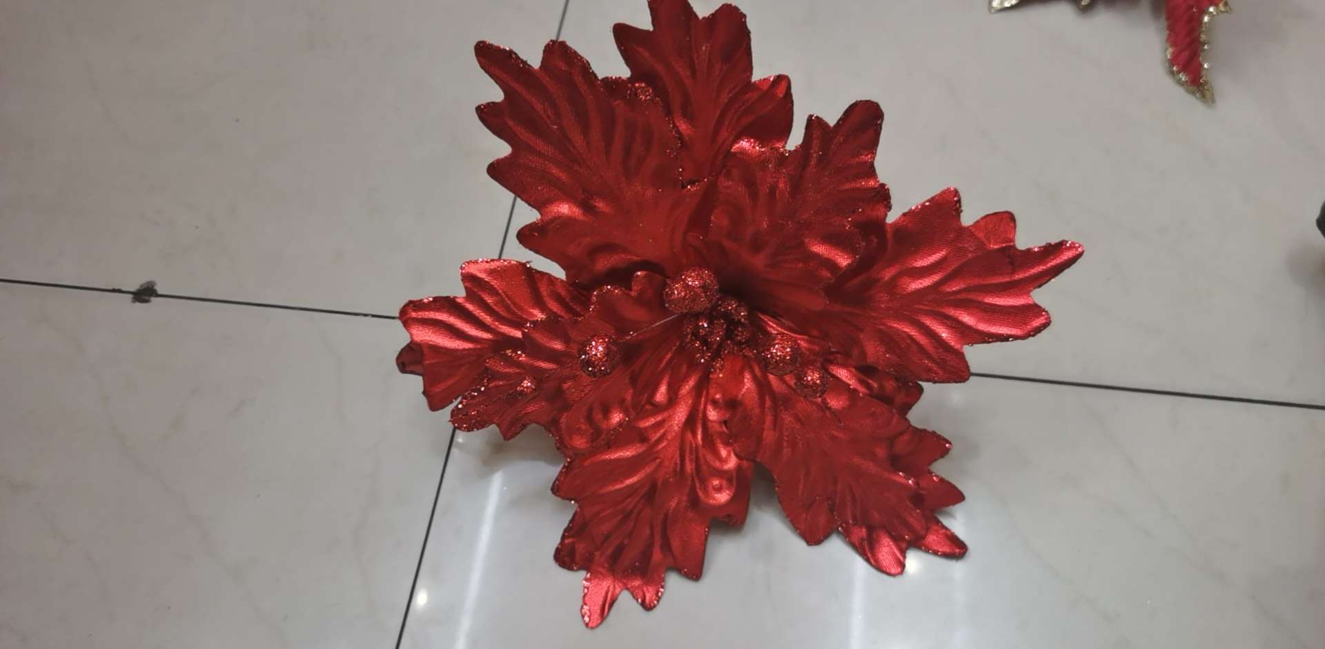 Christmas flower thumbnail