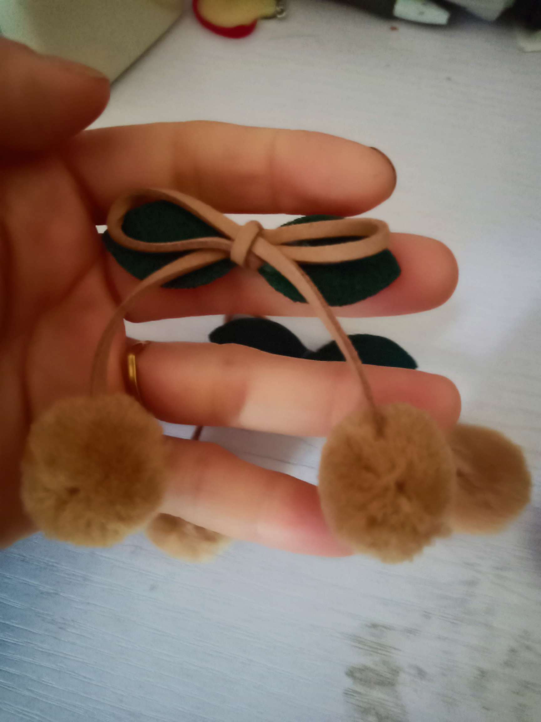 樱桃干/车厘子干实物图