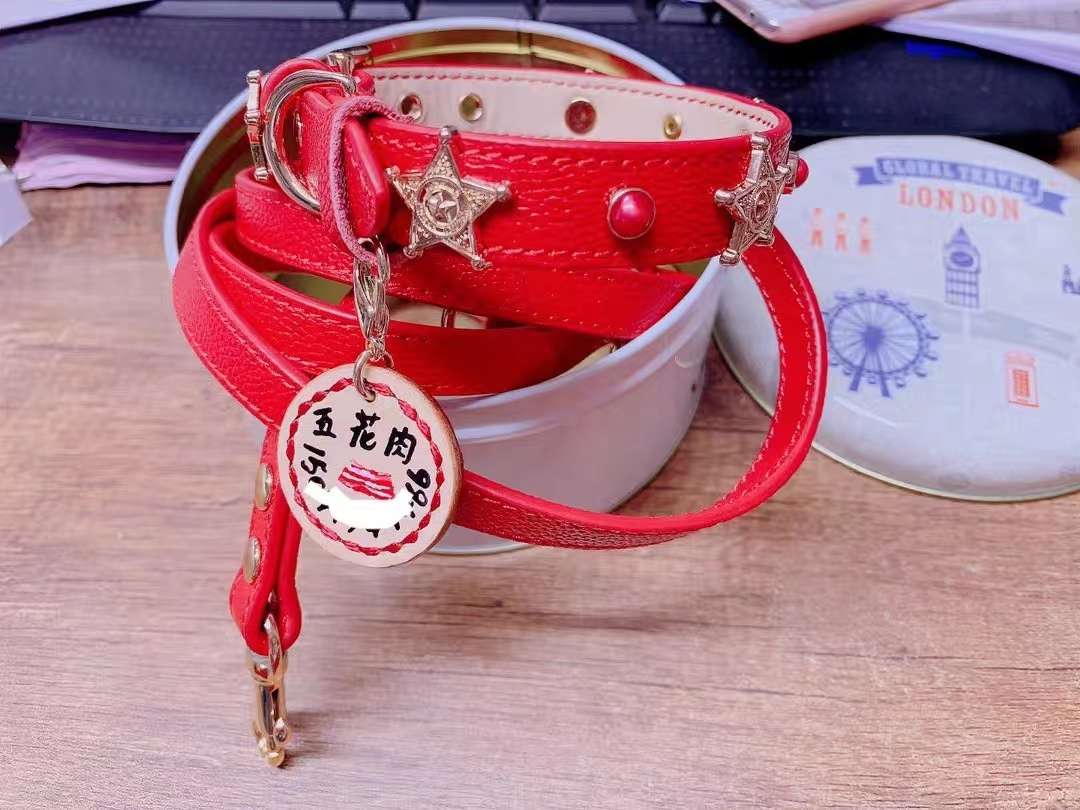 奢侈宠物项圈/黑蕾丝项圈/宠物用品项圈细节图