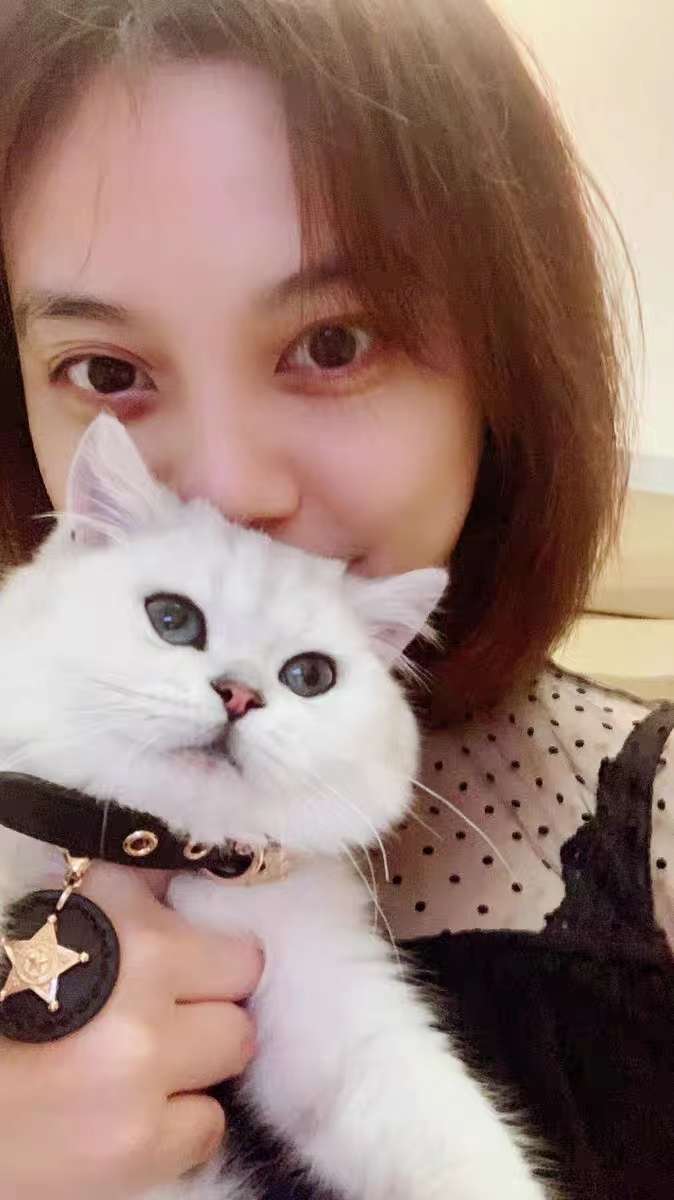 黑蕾丝轻松奢侈宠物项圈，给宠宝娃们一份多年的贴心陪伴详情图7