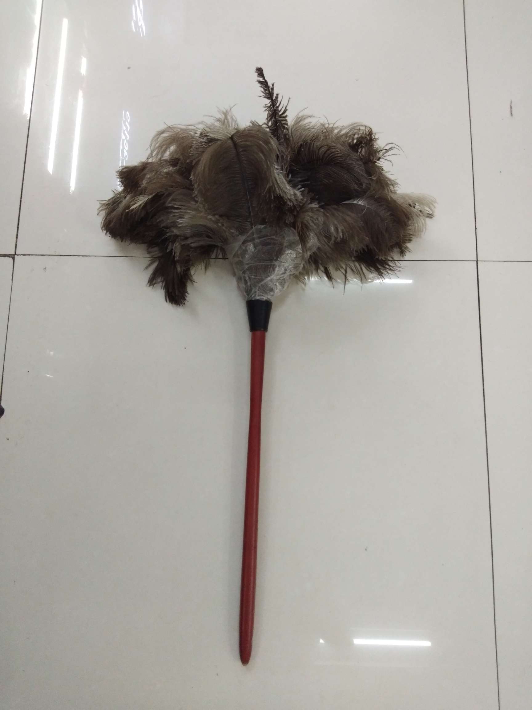 Ostrich Feather Duster Application Scenario