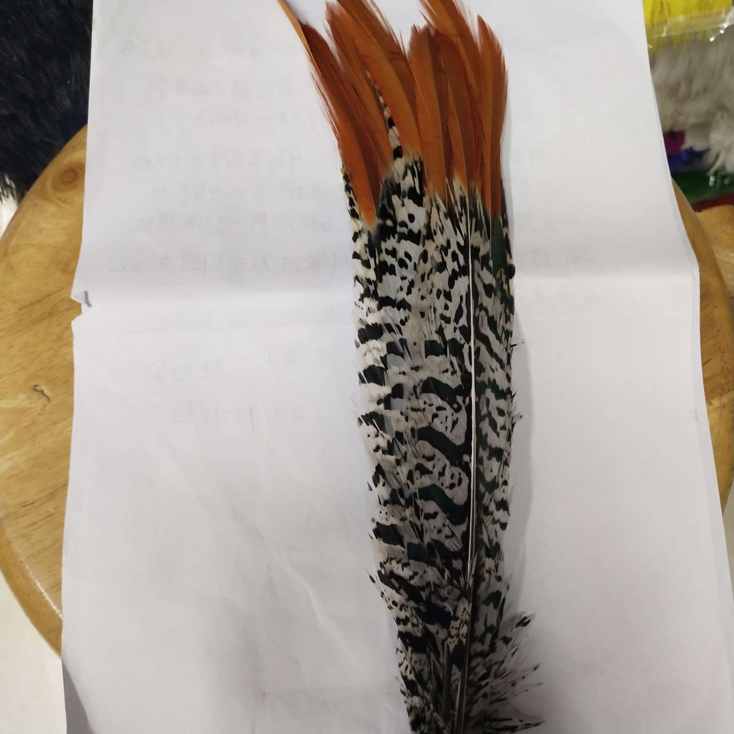 厂家直销羽毛 铜鸡红箭 25－30等尺寸