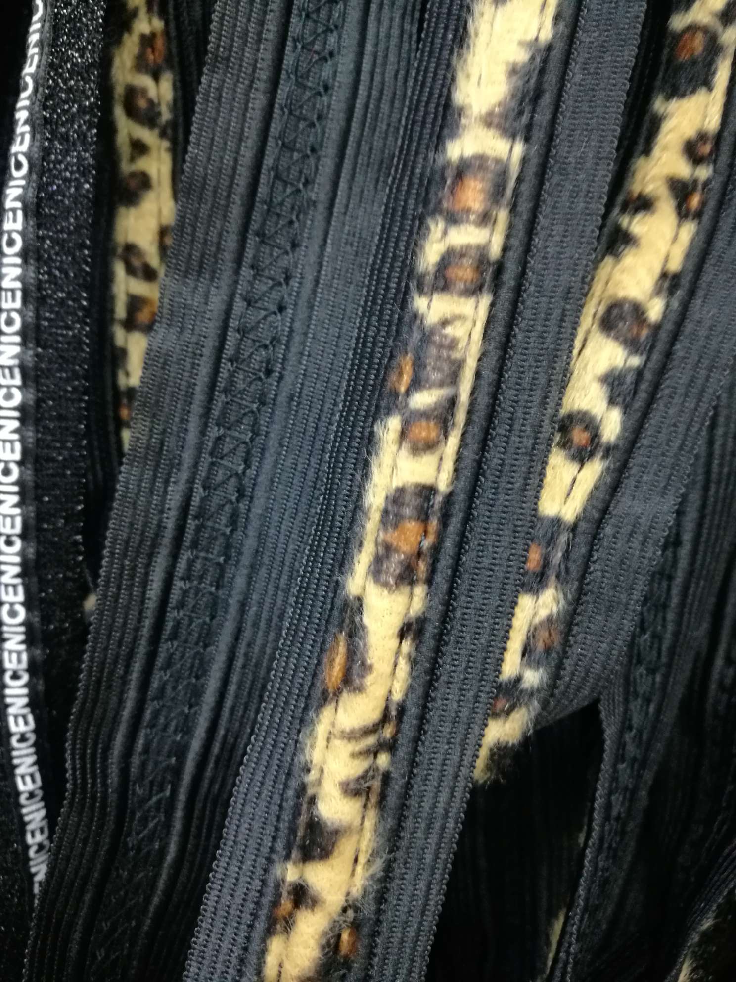 Leopard Band
