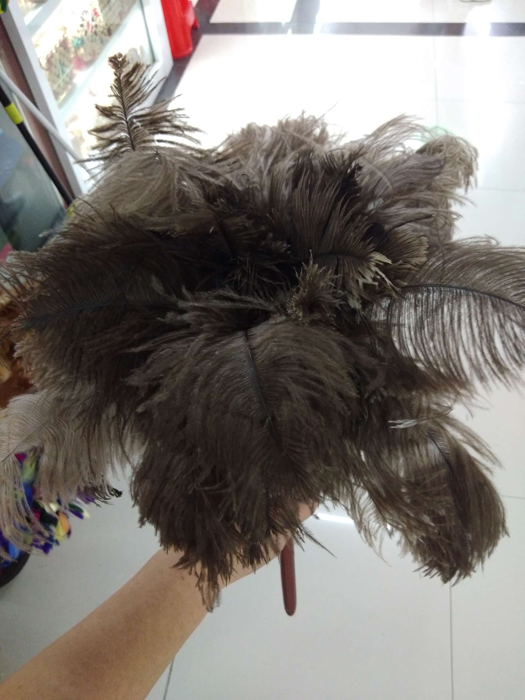 Ostrich Feather Duster details Picture