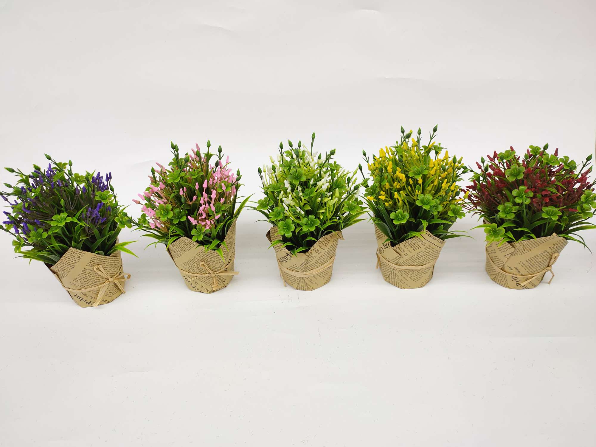 Newspaper pot green plants
