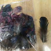 Manufacturers direct feather products copper chicken blue natural color