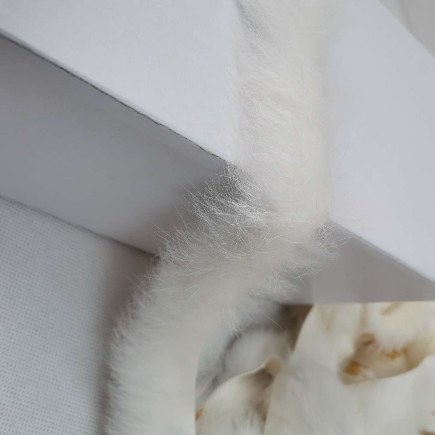 2厘米兔毛条 兔毛边细节图