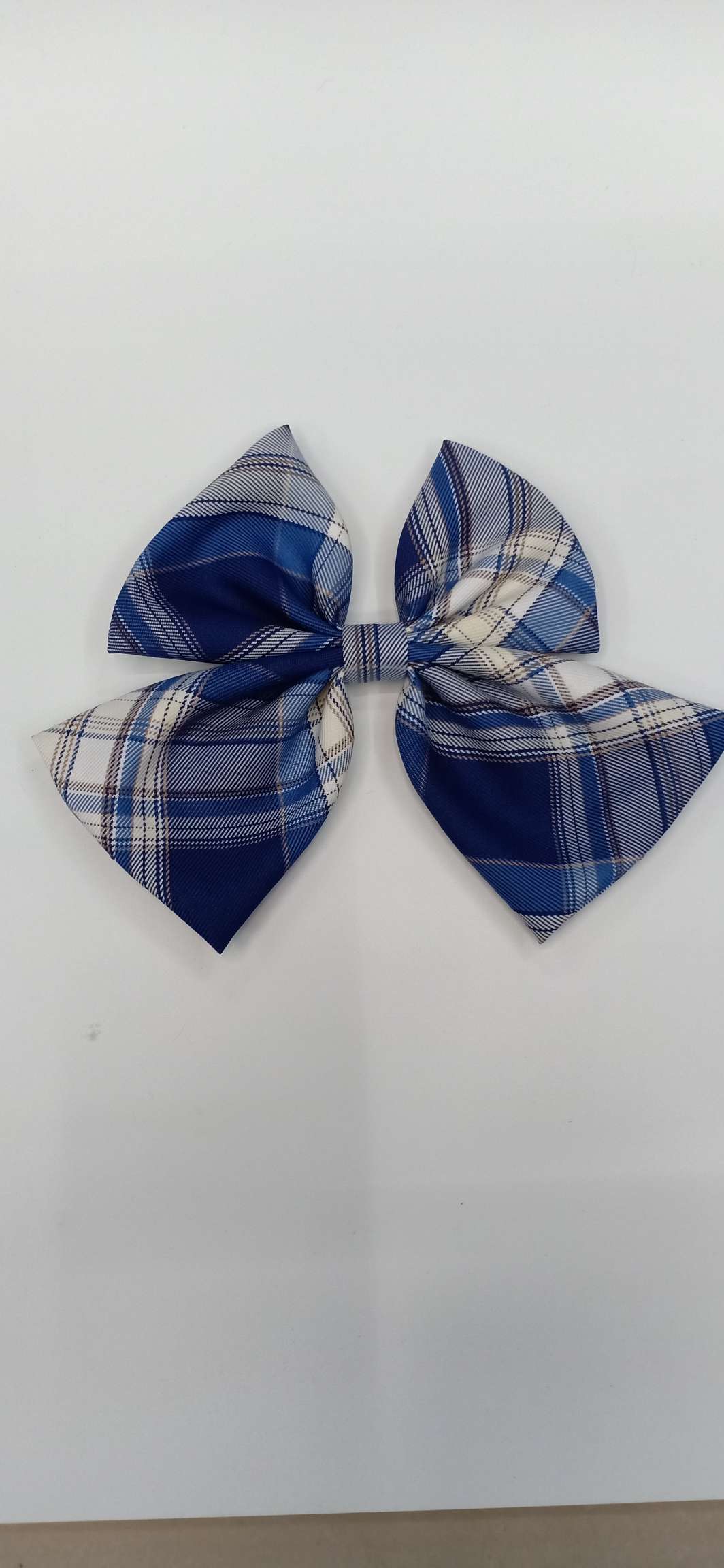 Checkered headwear, blue bow tie, clothing accessories