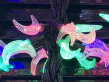 40头黑线月亮图