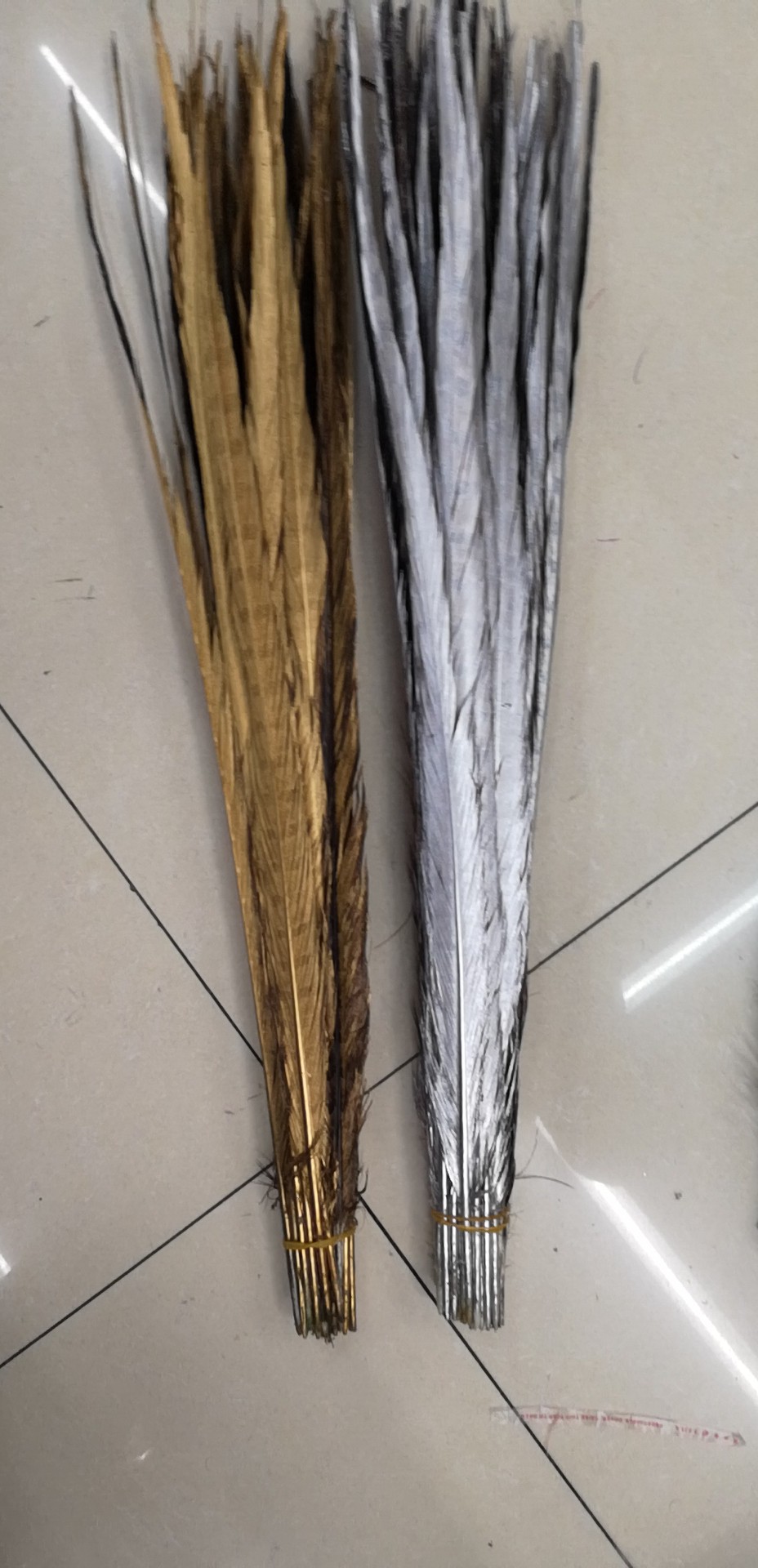 野鸡毛，喷金喷银野鸡毛