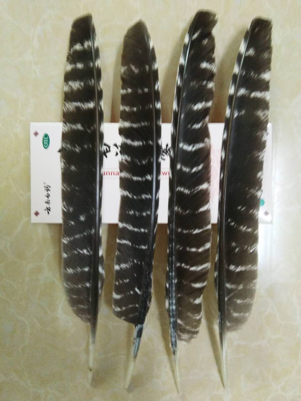 火鸡毛，花火鸡刀翎