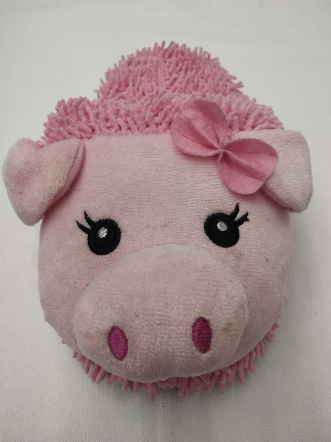 Cute little pig