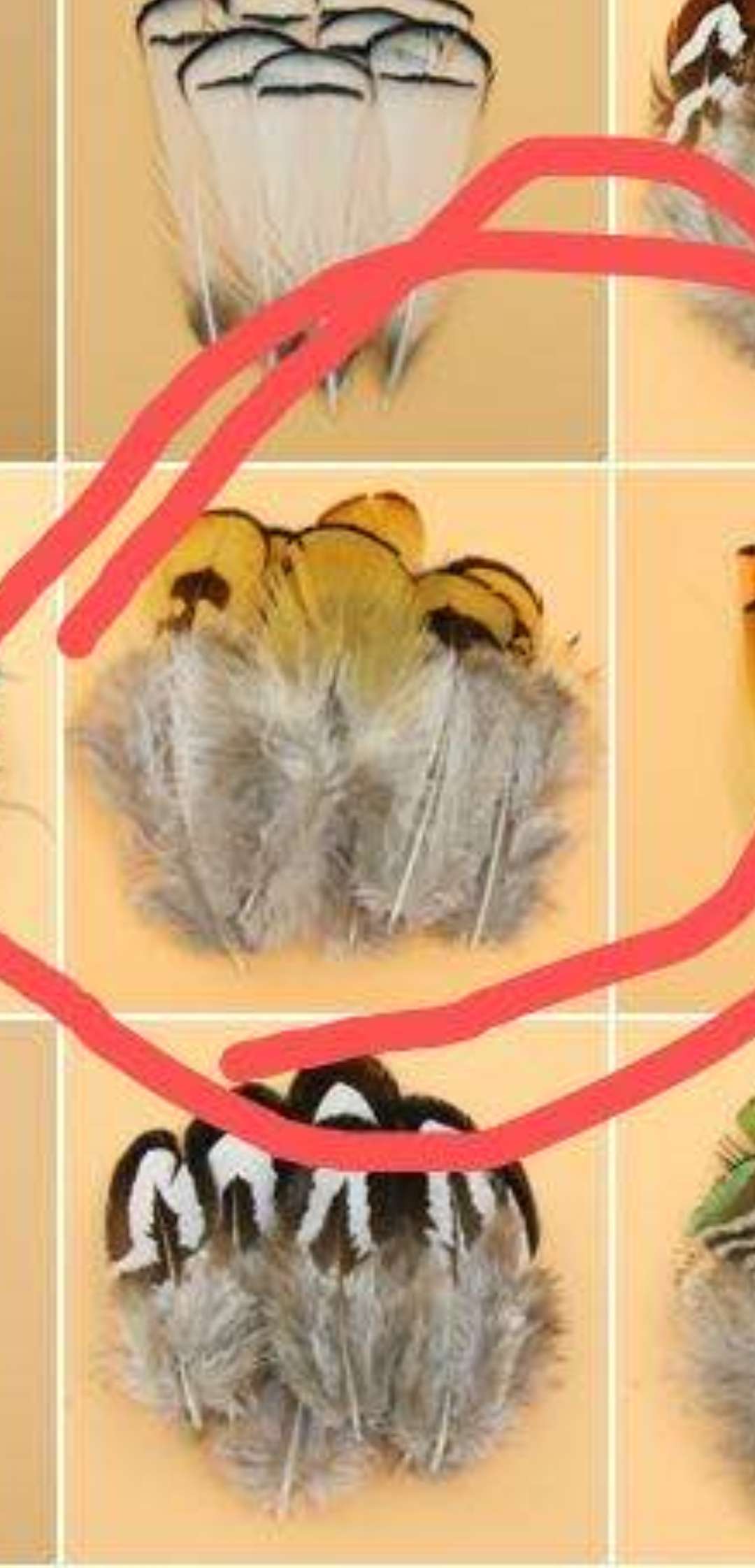 羽毛饰品